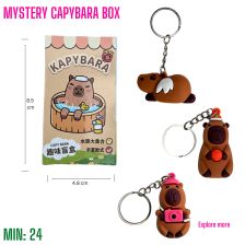 TO-CAPYBOX - Mystery Capybara Box